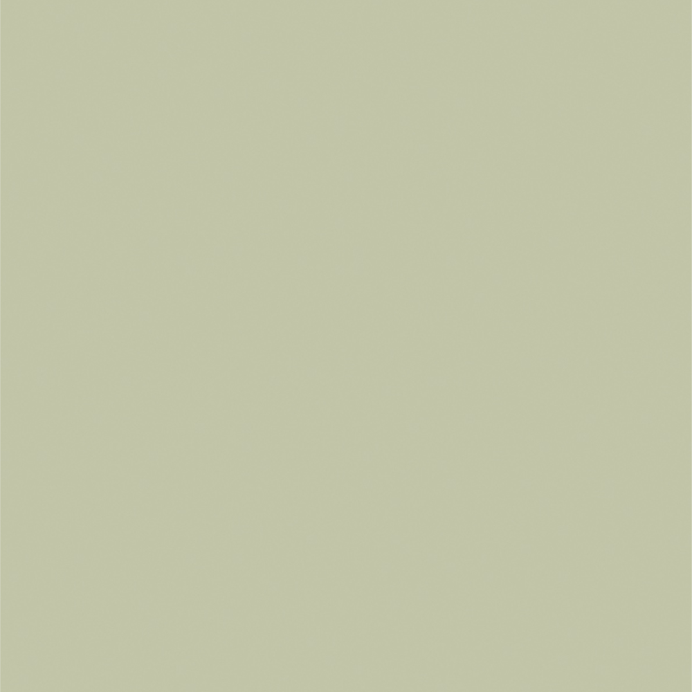 SCHÖNER WOHNEN Farbe