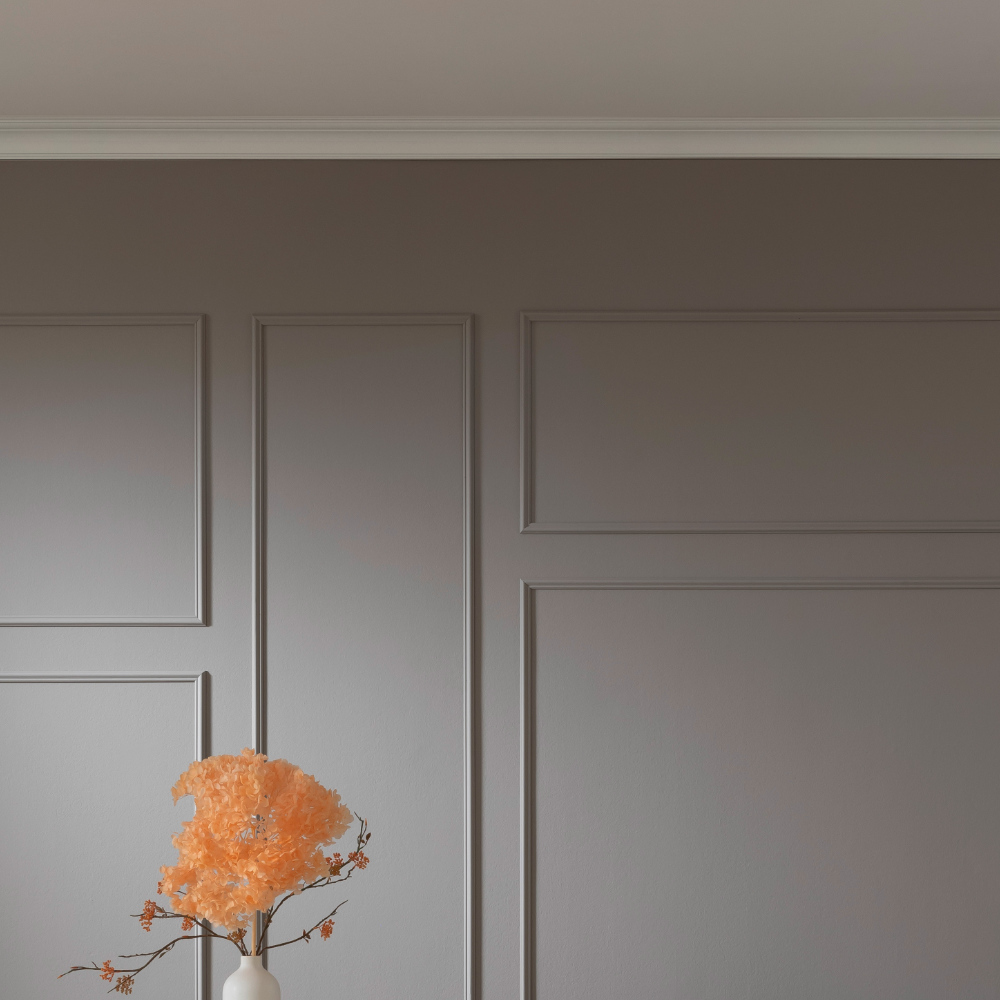 SCHÖNER WOHNEN Kollektion Wand- & Zierleisten