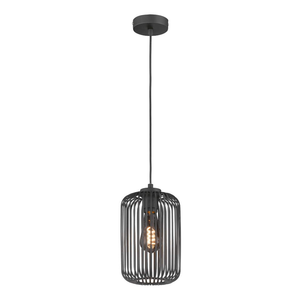 Pendelleuchte Cage