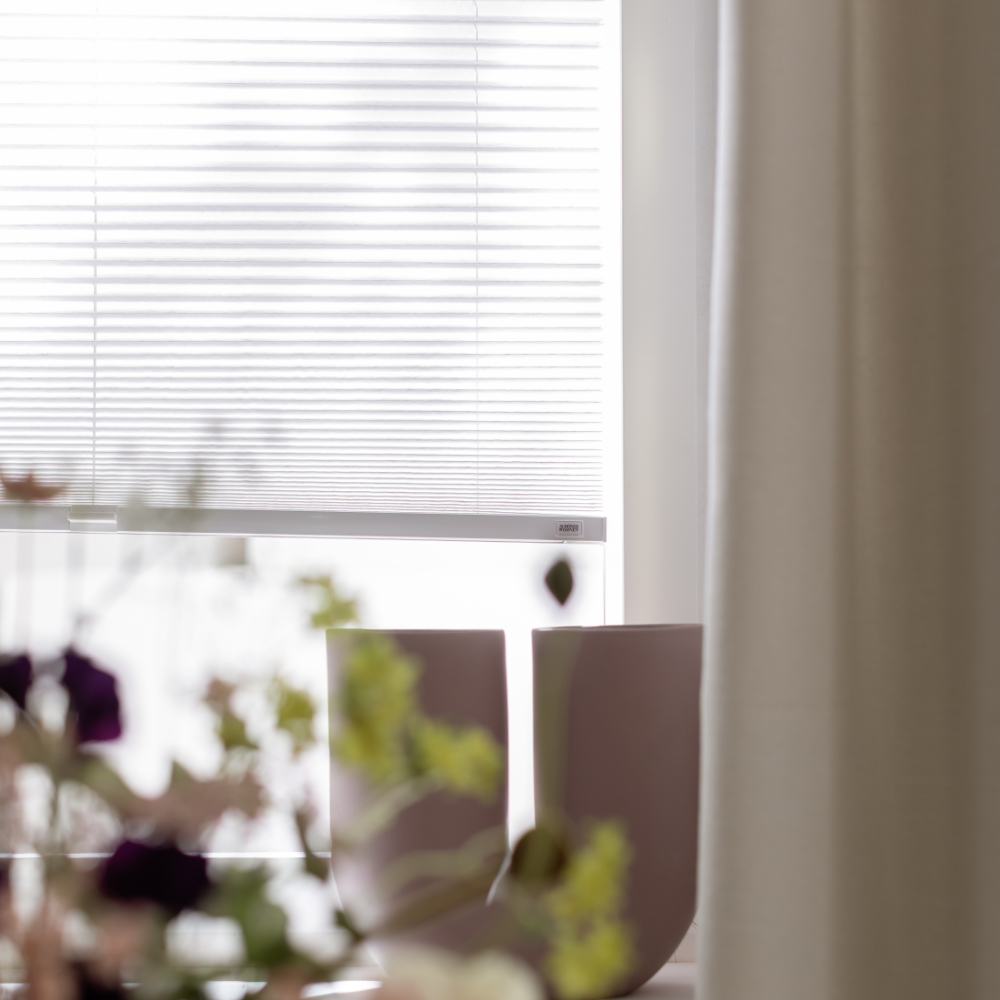 SCHÖNER WOHNEN-Plissees