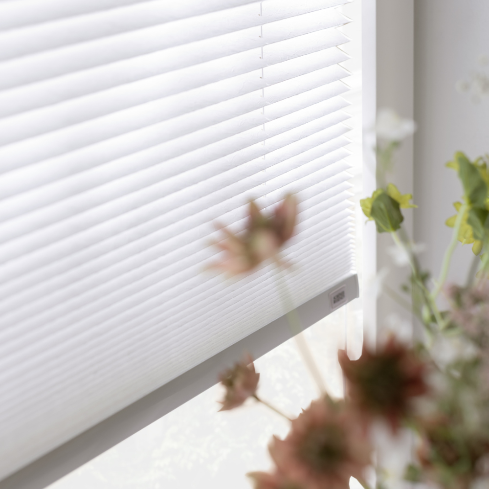 SCHÖNER WOHNEN-Plissees