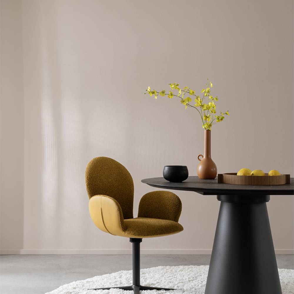 SCHÖNER WOHNEN Farbe