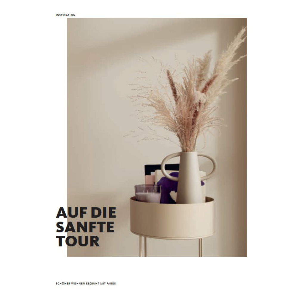 SCHÖNER WOHNEN Farbe