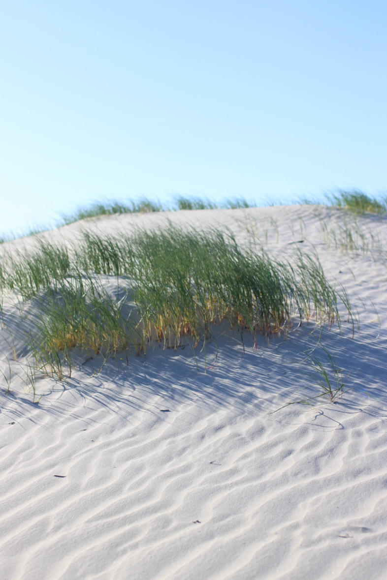 SCHÖNER WOHNEN Shop the Look Esszimmer