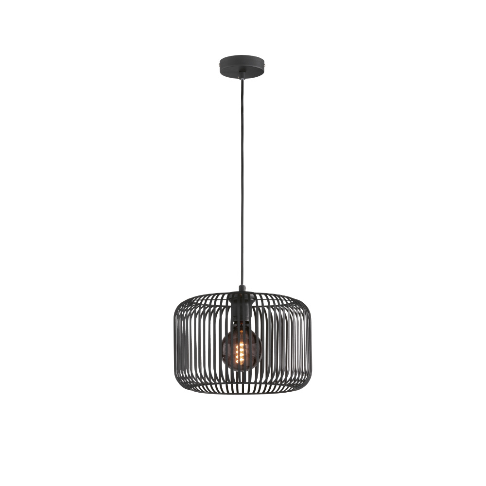 Pendelleuchte Cage