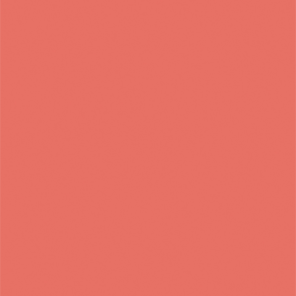 SCHÖNER WOHNEN Farbe