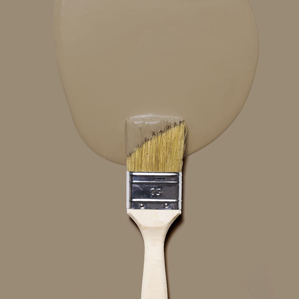 SCHÖNER WOHNEN Farbe